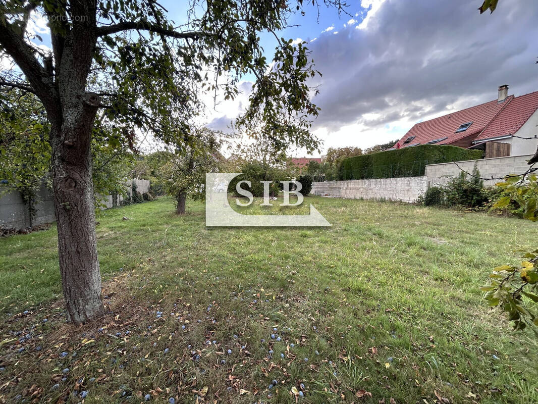 Terrain à LA VILLE-DU-BOIS