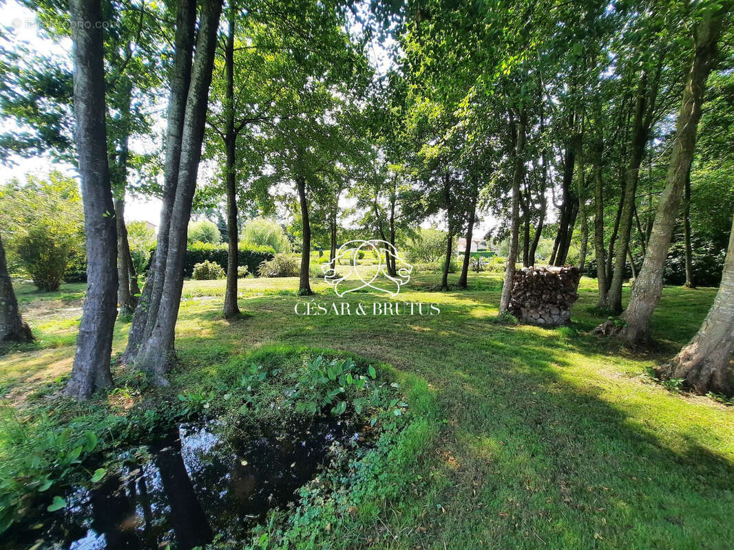 Maison à CHATILLON-SUR-CHALARONNE