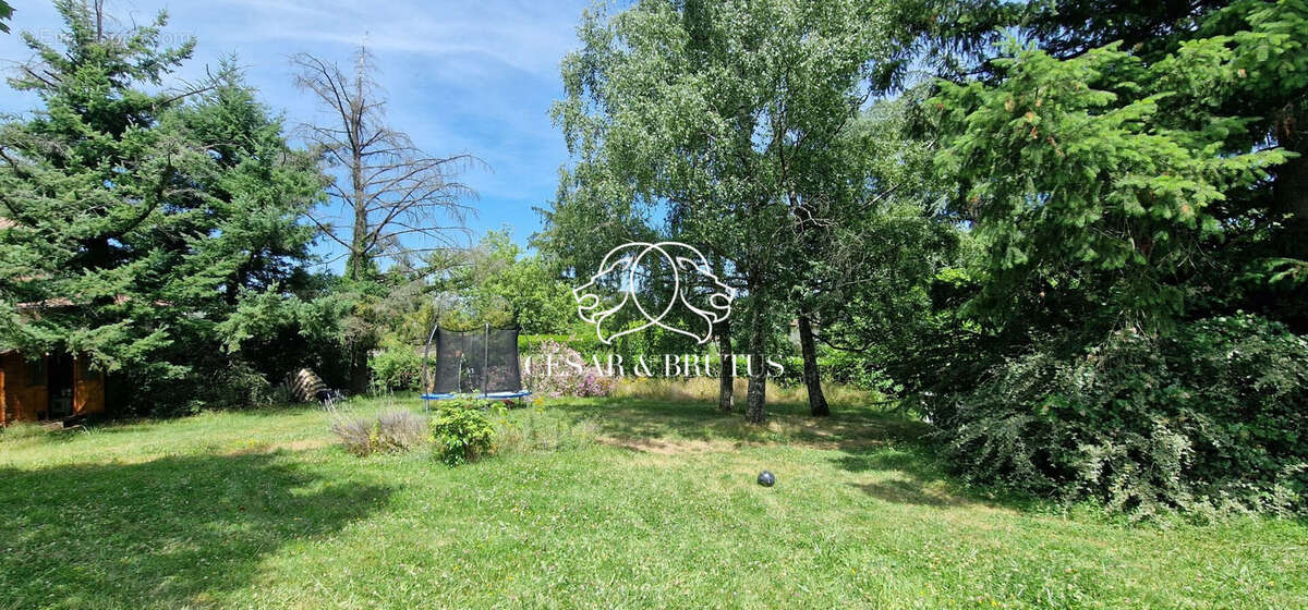 Terrain à LA TOUR-DE-SALVAGNY