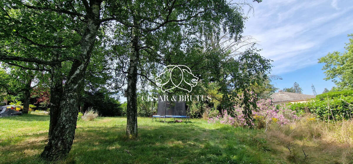 Terrain à LA TOUR-DE-SALVAGNY