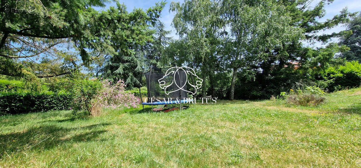 Terrain à LA TOUR-DE-SALVAGNY