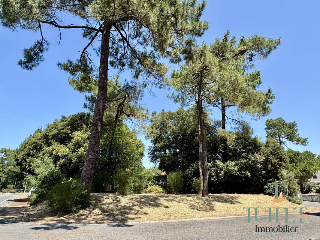 Terrain à LA TREMBLADE