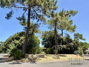 Terrain à LA TREMBLADE