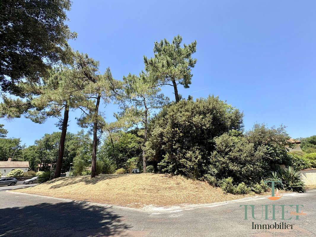 Terrain à LA TREMBLADE