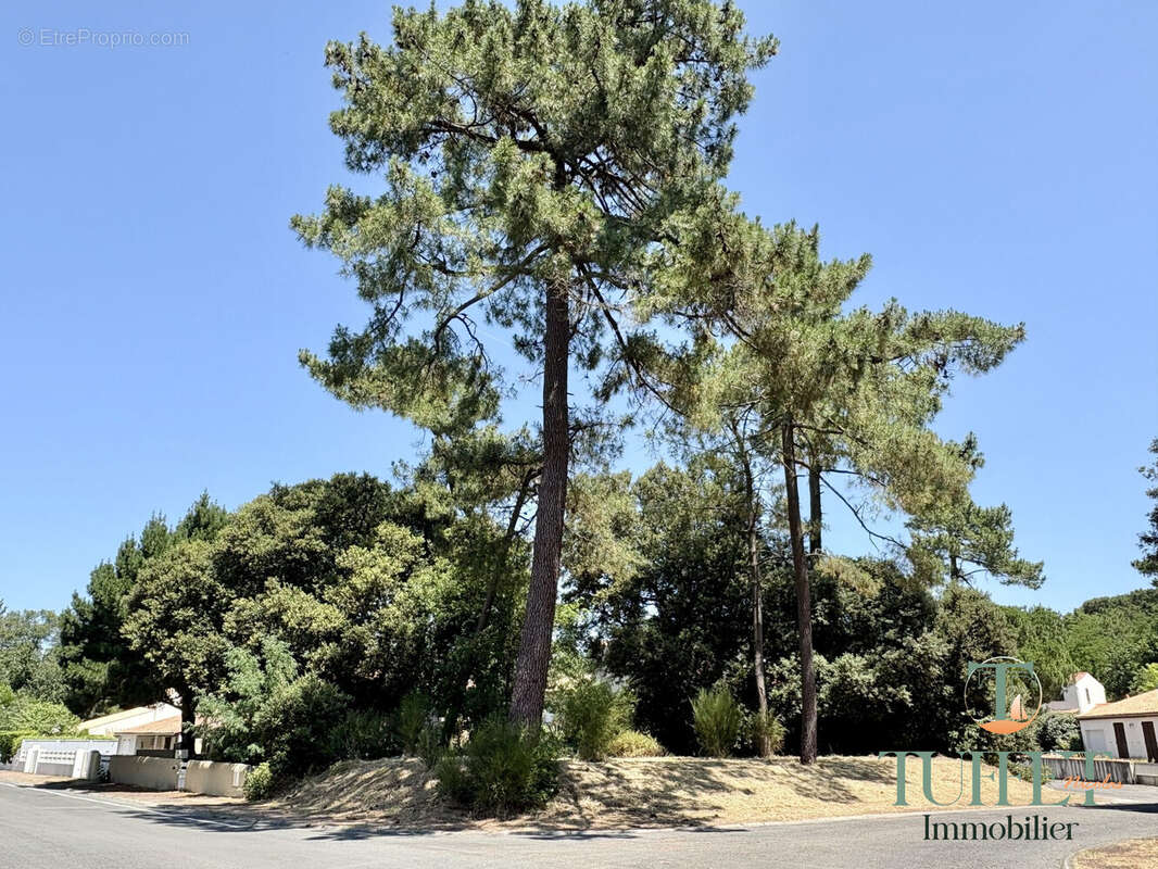 Terrain à LA TREMBLADE