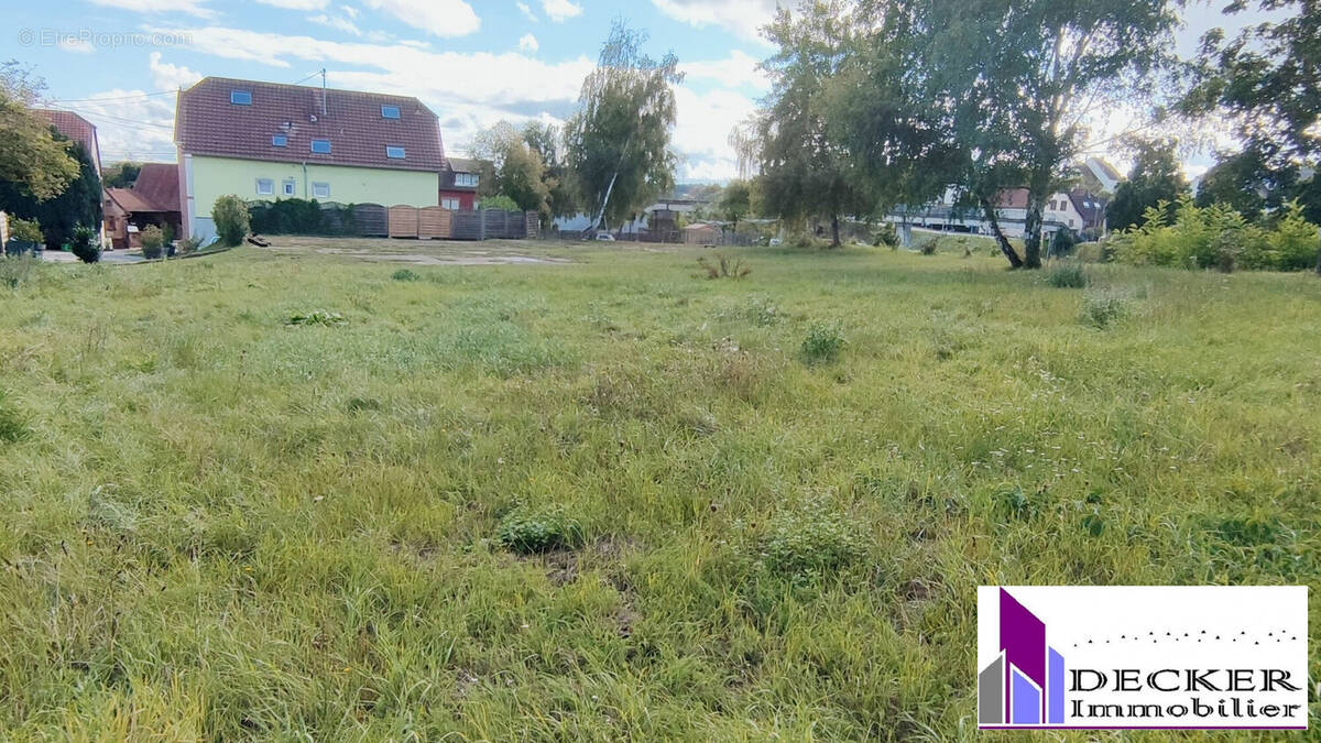 Terrain à INGWILLER