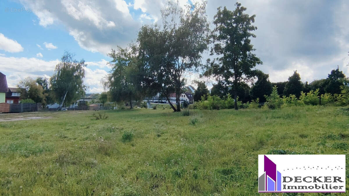 Terrain à INGWILLER