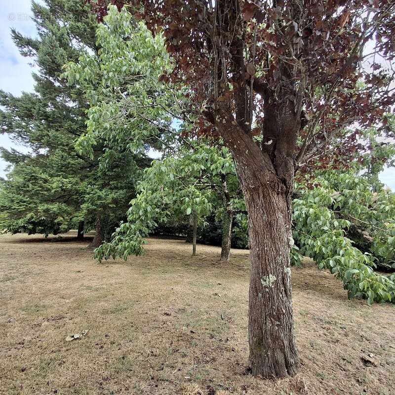 Maison à SAINT-CLAUD