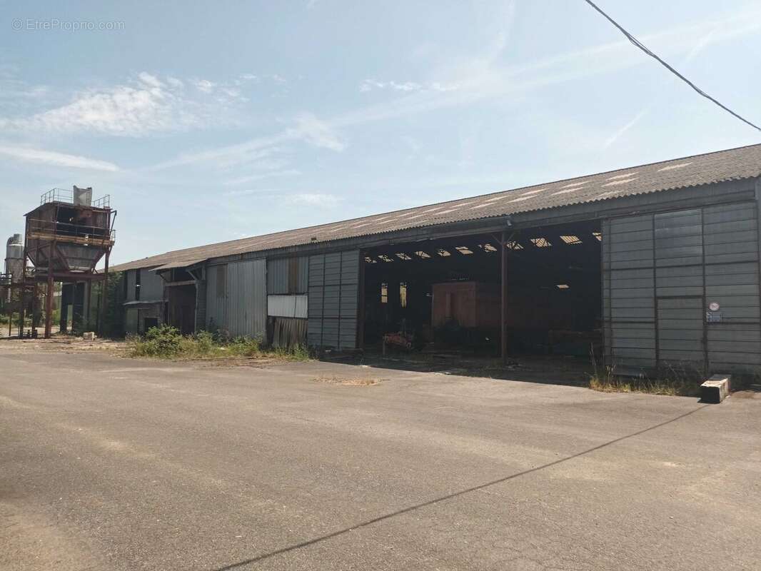 Commerce à CHAMPAGNE-MOUTON