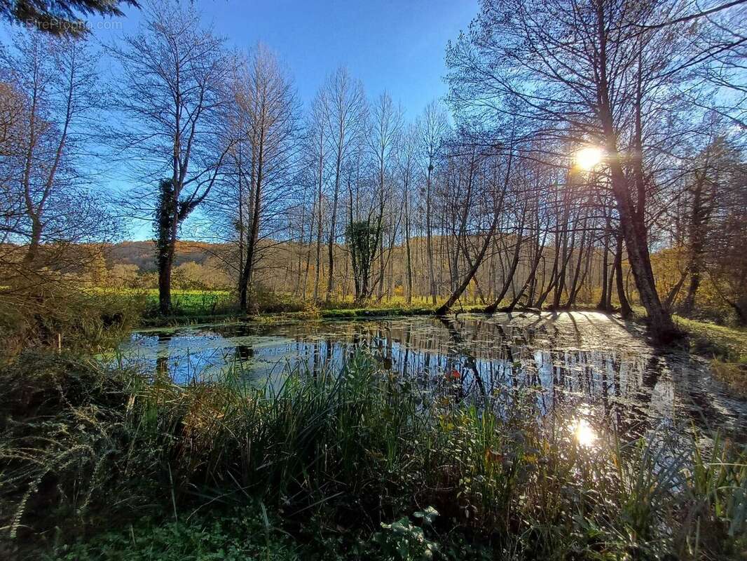 Terrain à CELLEFROUIN