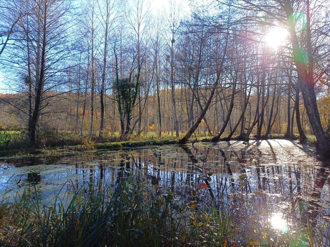 Terrain à CELLEFROUIN