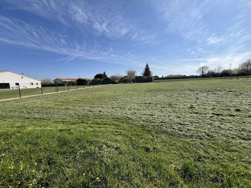 Terrain à SAINT-ADJUTORY