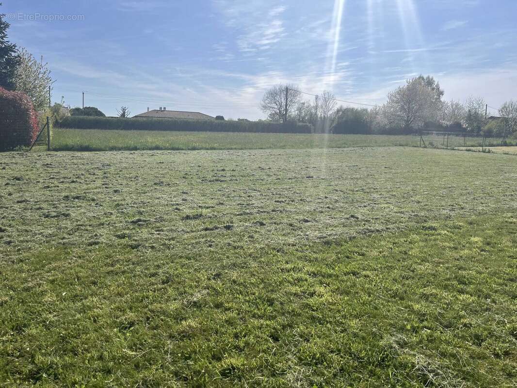 Terrain à SAINT-ADJUTORY