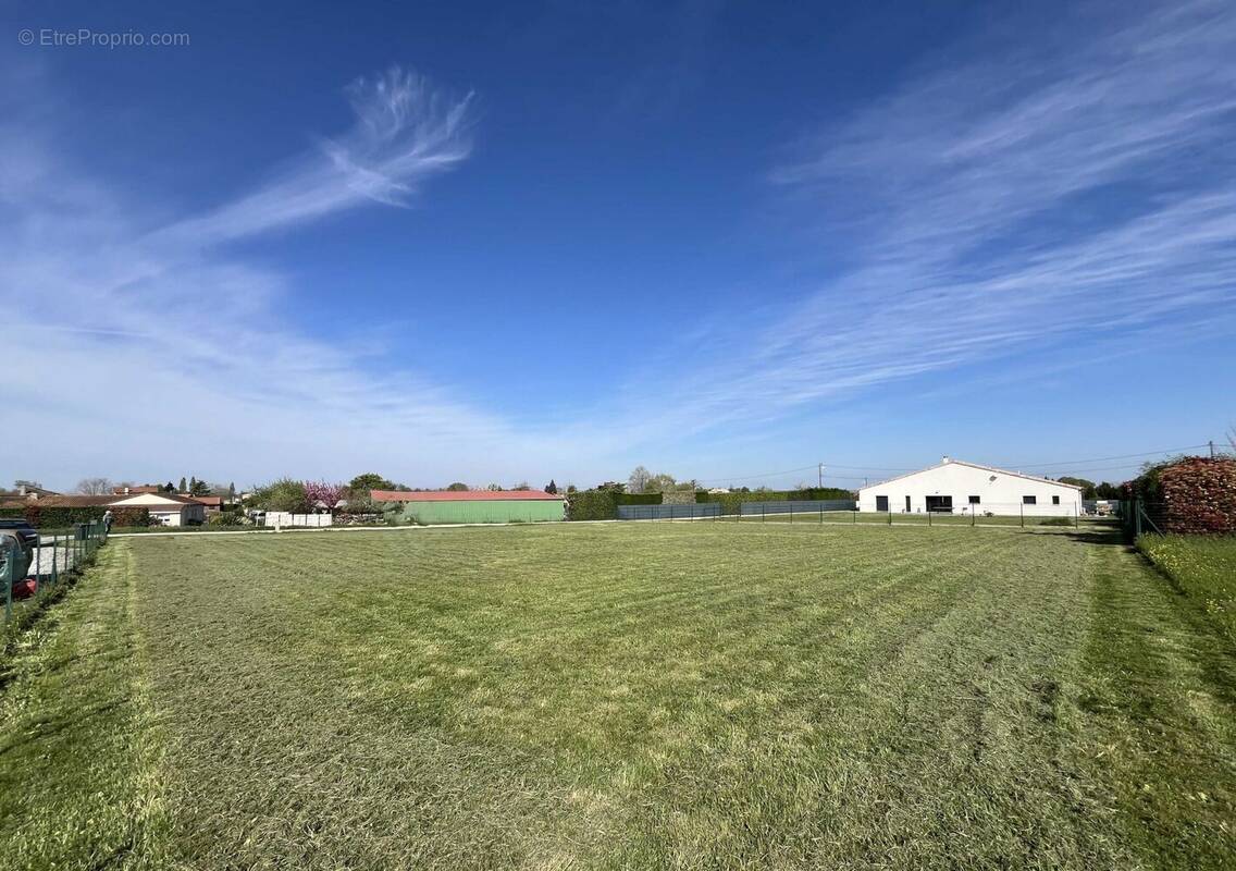 Terrain à SAINT-ADJUTORY