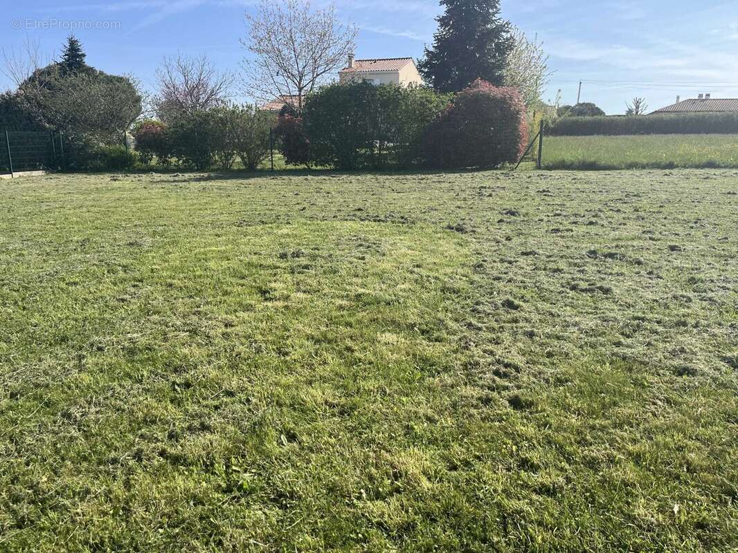 Terrain à SAINT-ADJUTORY