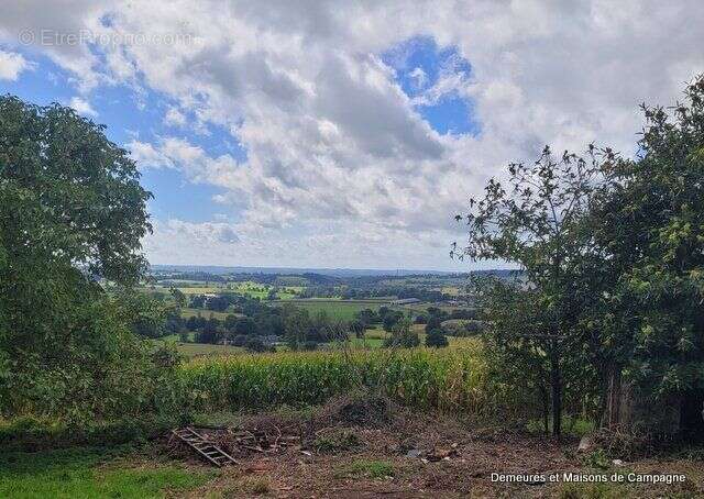 Maison à JUVIGNY-LE-TERTRE