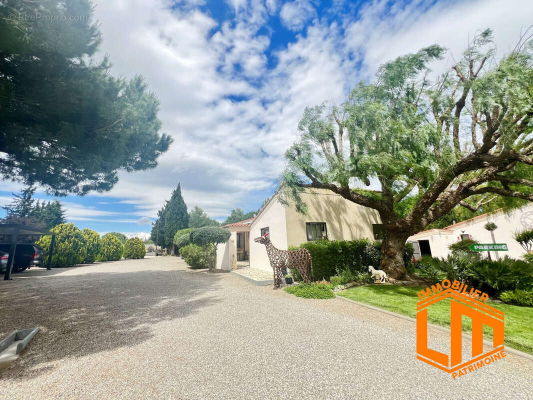 jardin - Maison à MONTPELLIER