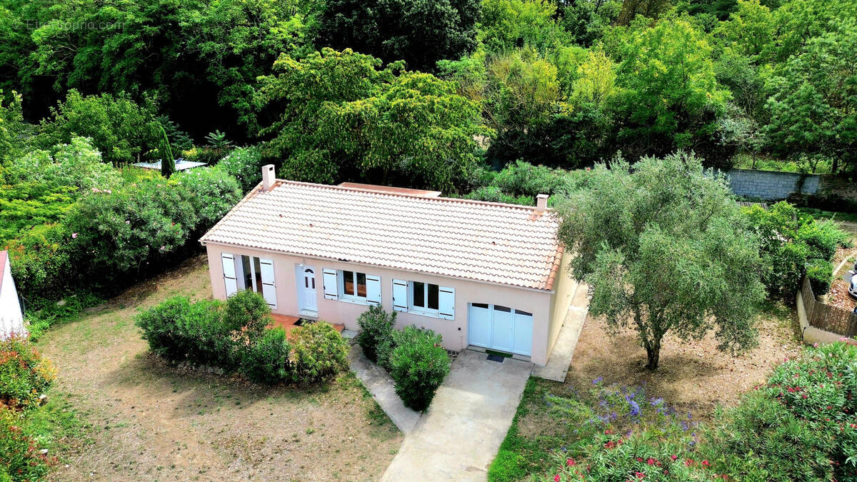 Maison à LUC-SUR-ORBIEU