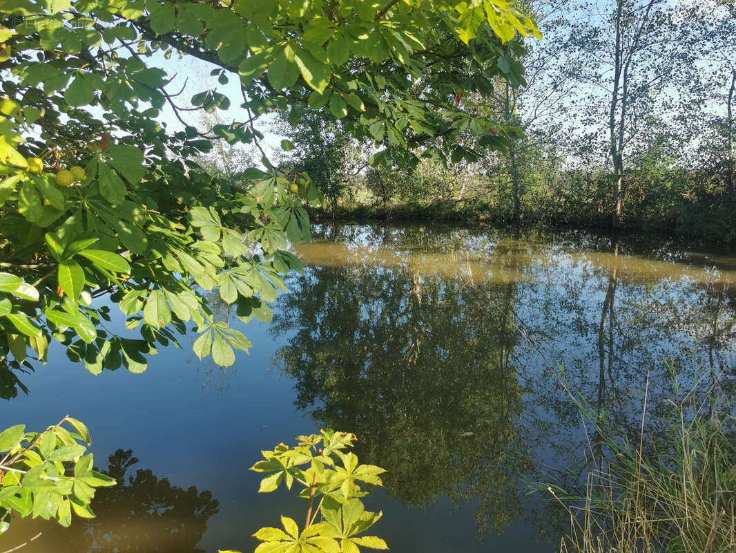 Maison à SAINT-JEAN-SAINT-MAURICE-SUR-LOIRE