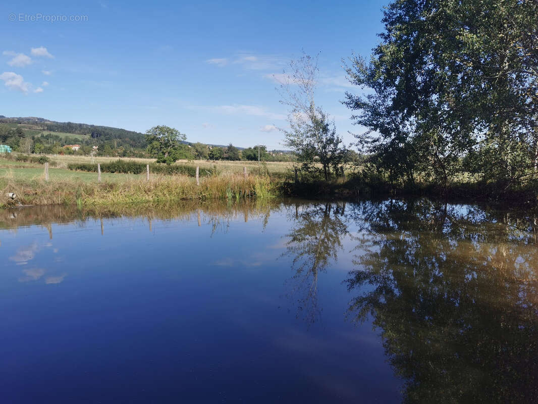 Maison à SAINT-JEAN-SAINT-MAURICE-SUR-LOIRE