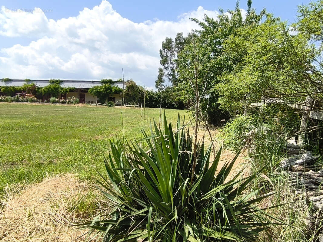 Maison à CHATEAU-GUIBERT