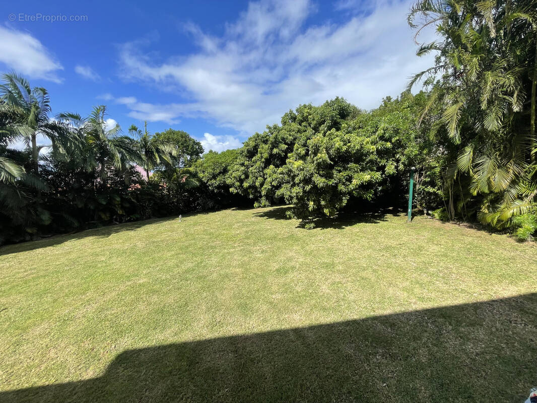 Terrain à SAINT-BENOIT