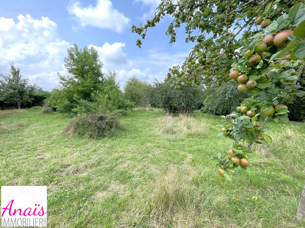 Maison à PICAUVILLE