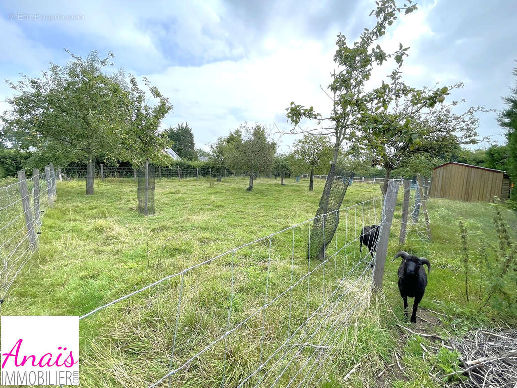 Maison à PICAUVILLE