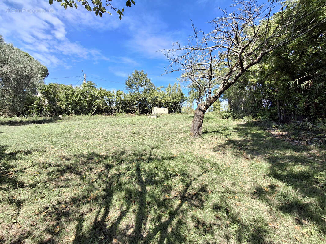 Terrain à PECHABOU
