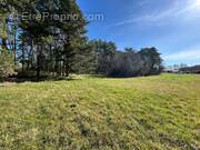 Terrain à GIGNAC