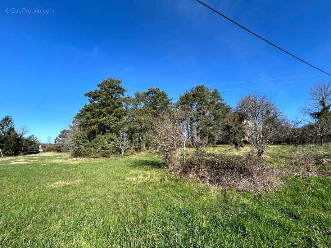 Terrain à GIGNAC