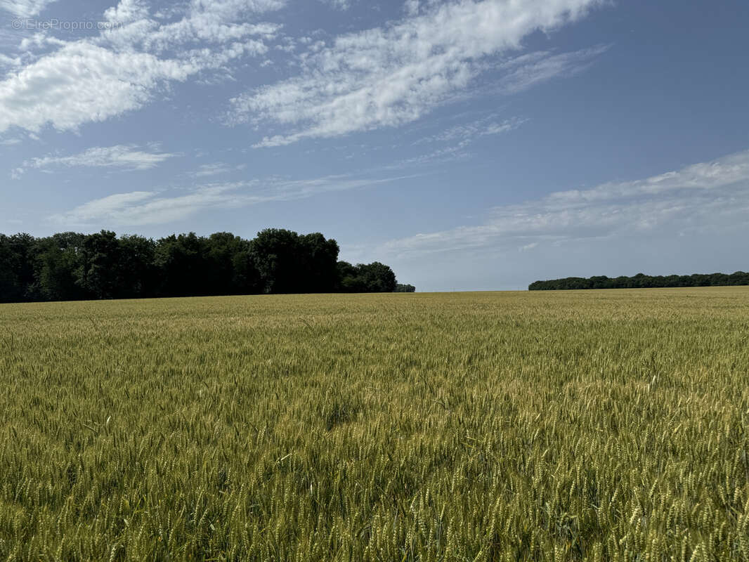 Terrain à CHAMBEUGLE
