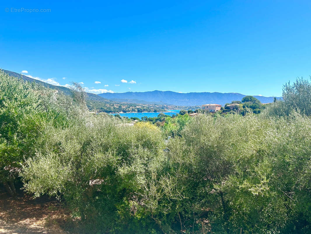 Maison à PROPRIANO
