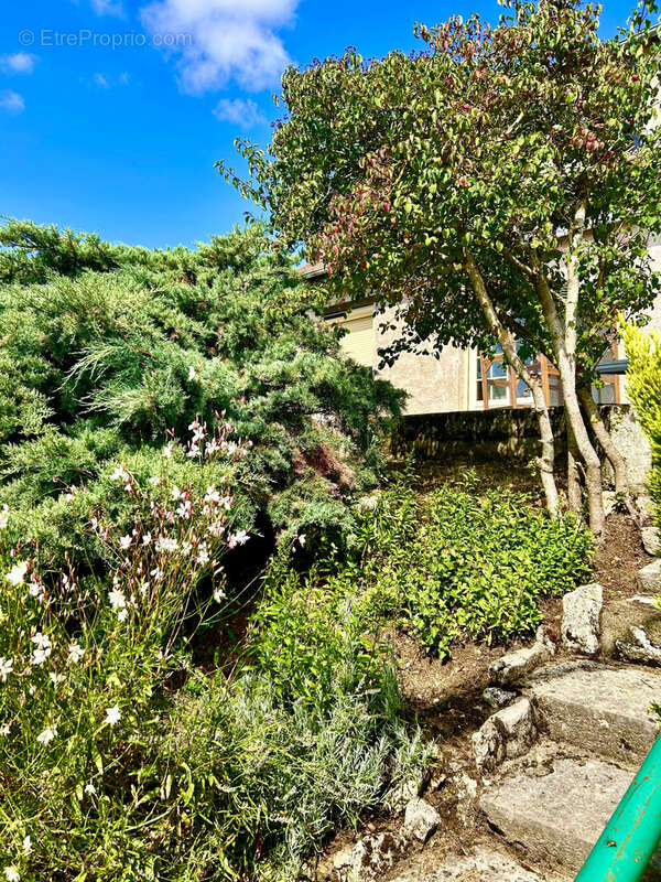 Maison à BONNY-SUR-LOIRE