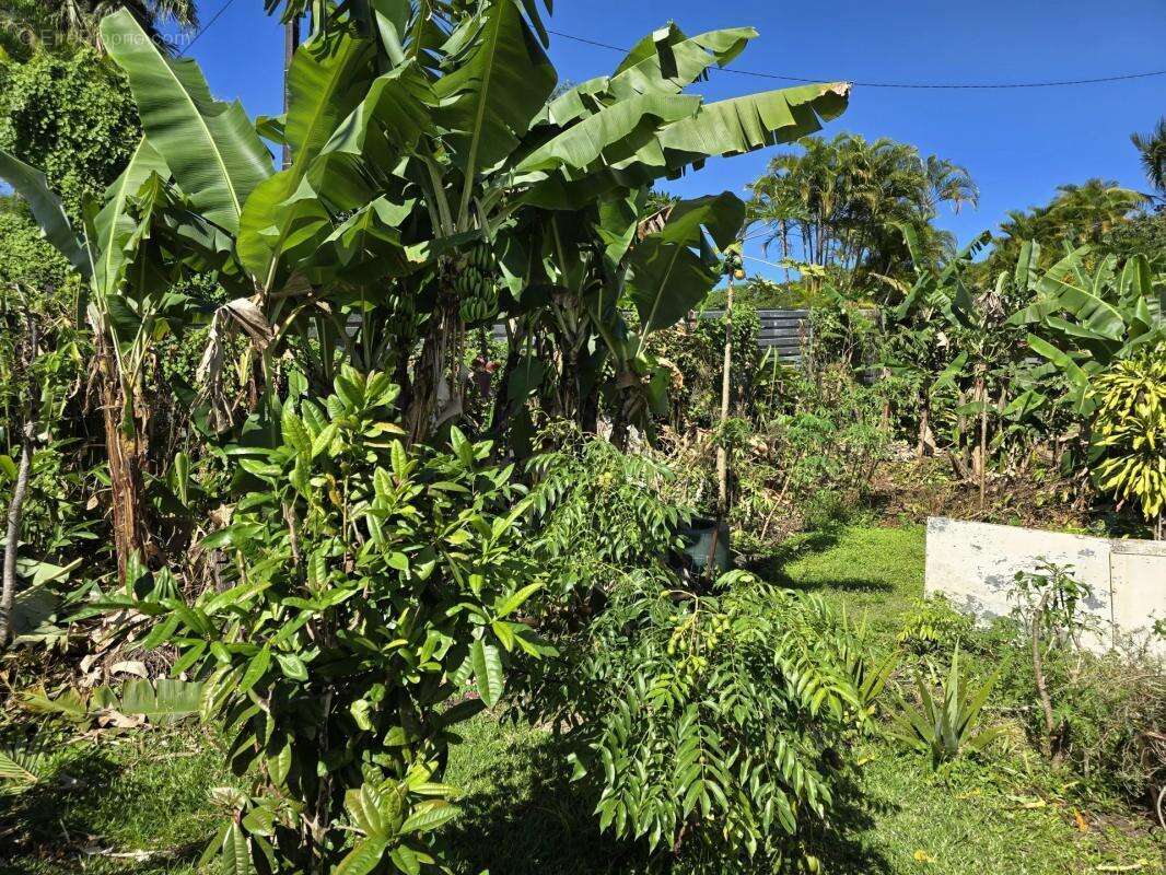 Maison à SAINTE-ROSE