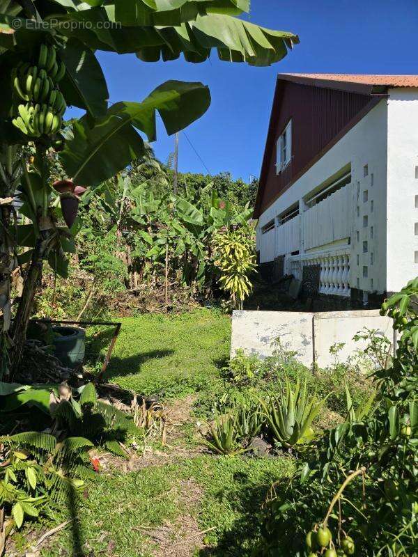 Maison à SAINTE-ROSE