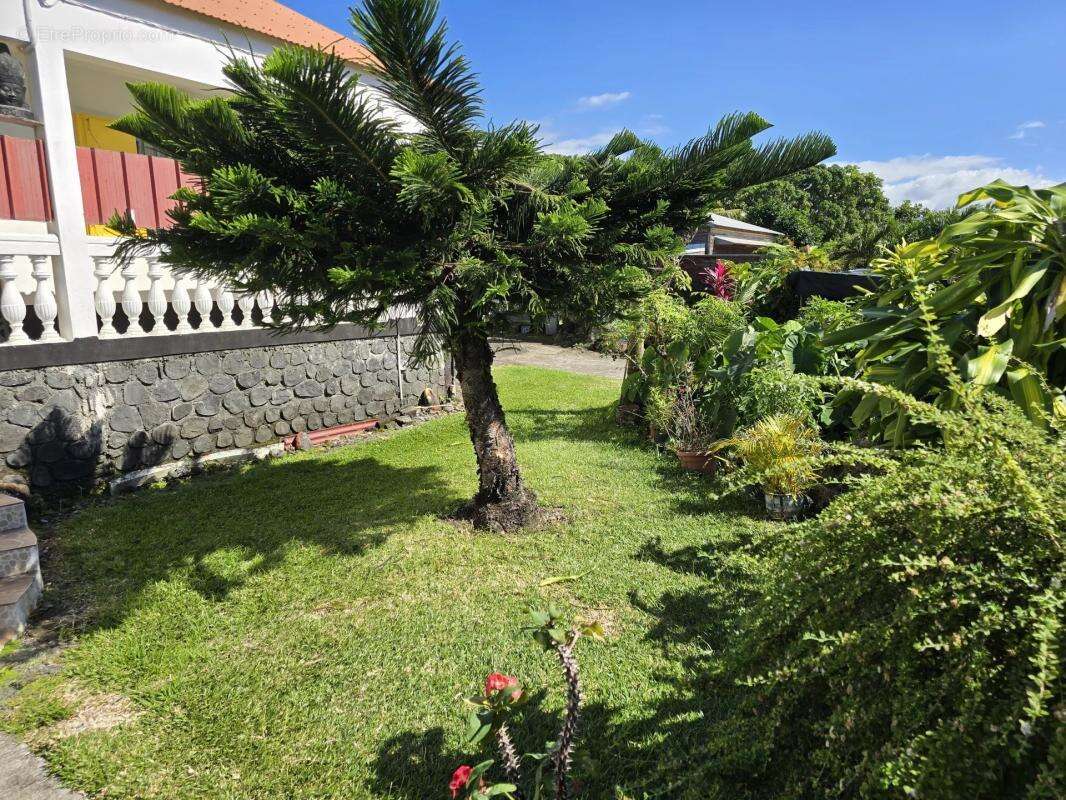 Maison à SAINTE-ROSE