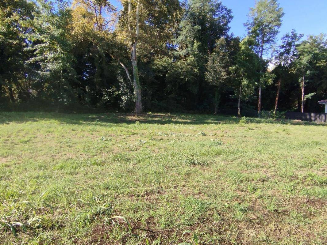 Terrain à MONT-DE-MARSAN