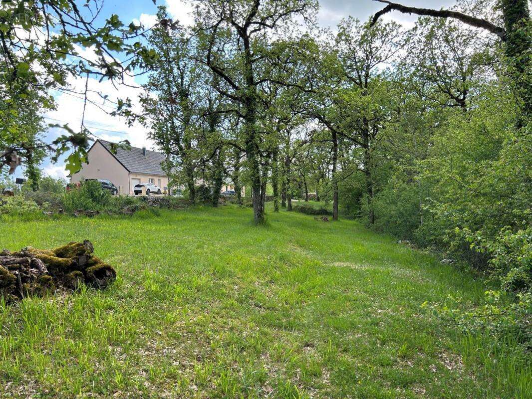 Terrain à SARRAZAC