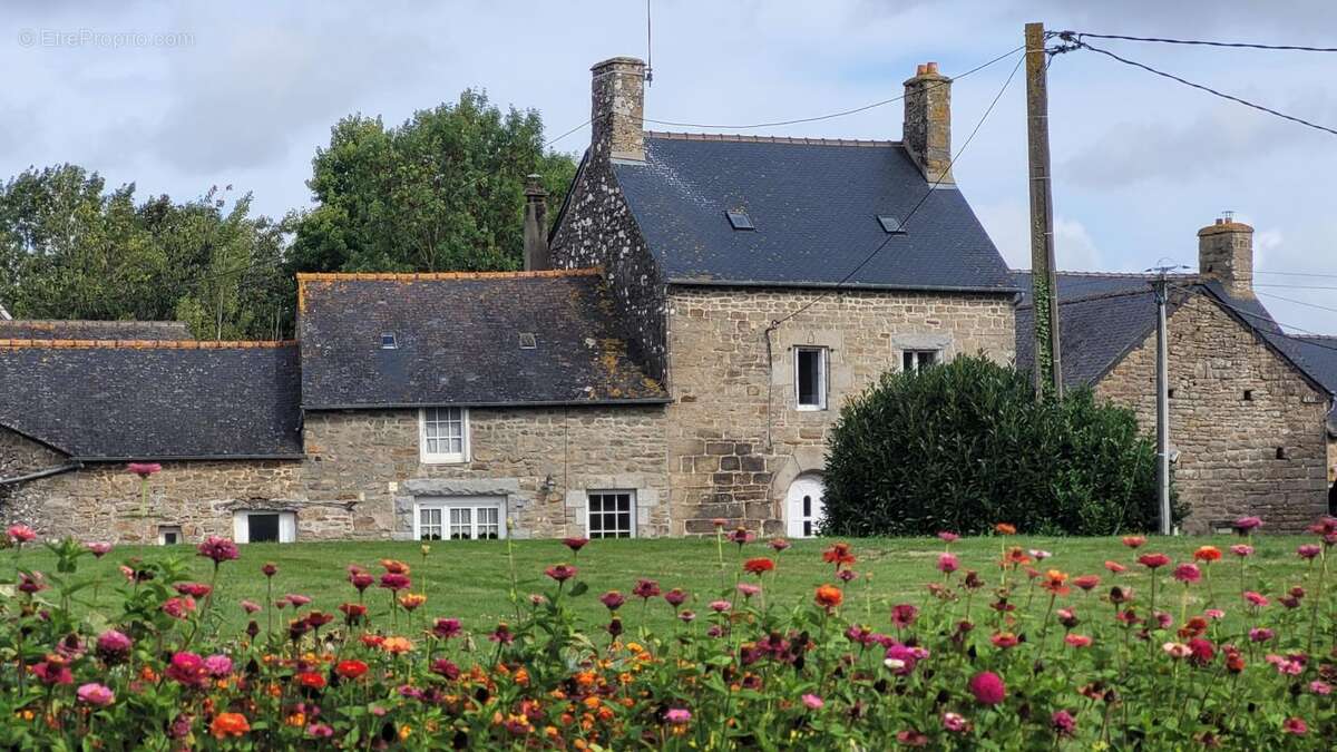 Maison à PLAINE-HAUTE