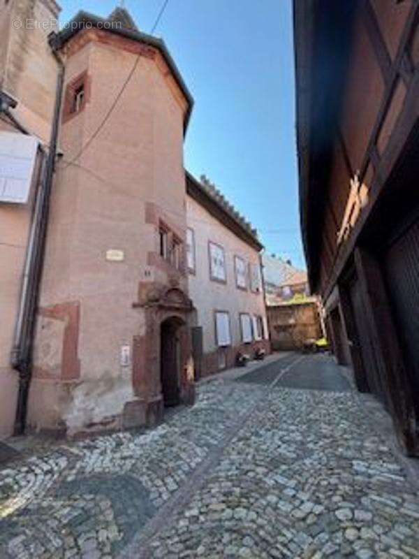 Commerce à HAGUENAU