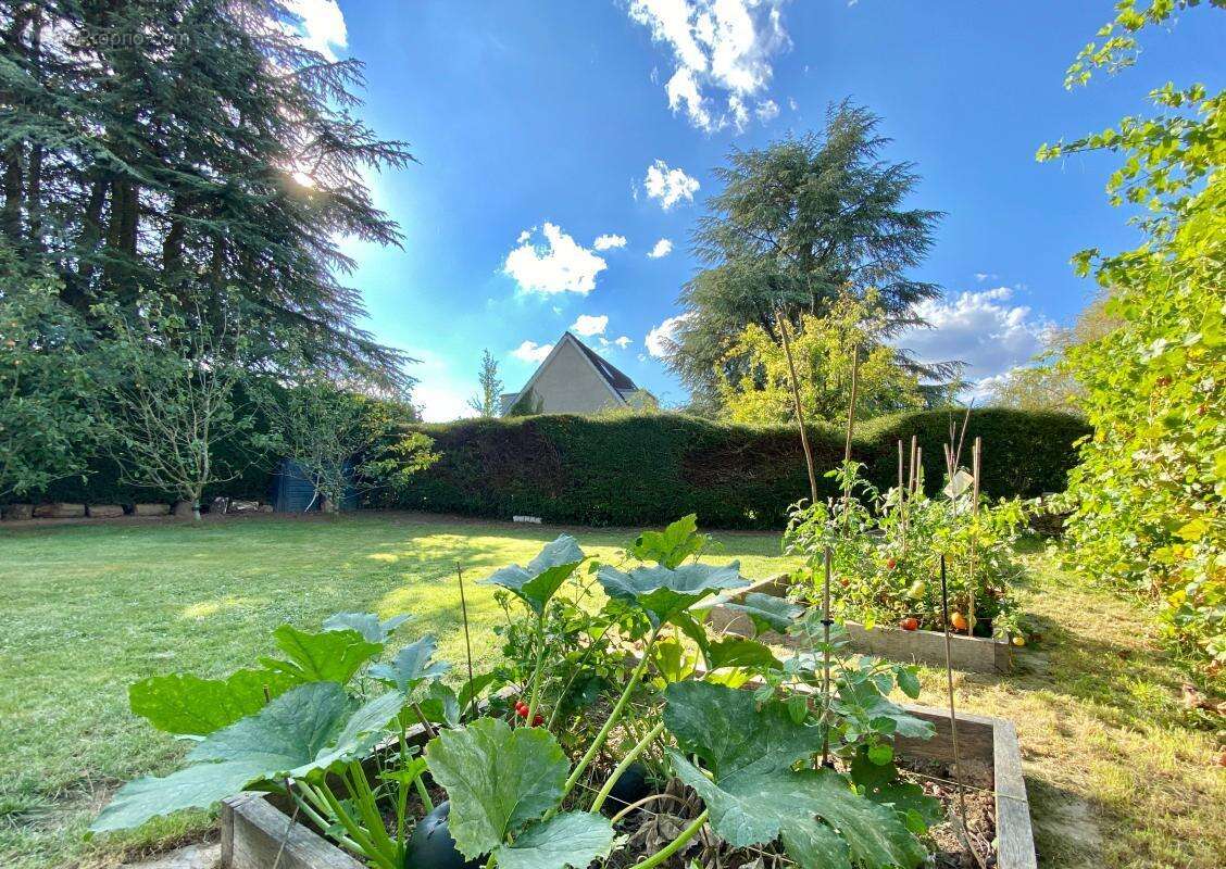 Maison à LES LOGES-EN-JOSAS