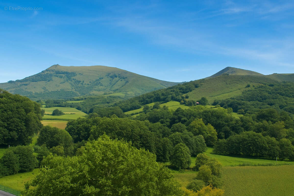 Terrain à HASPARREN