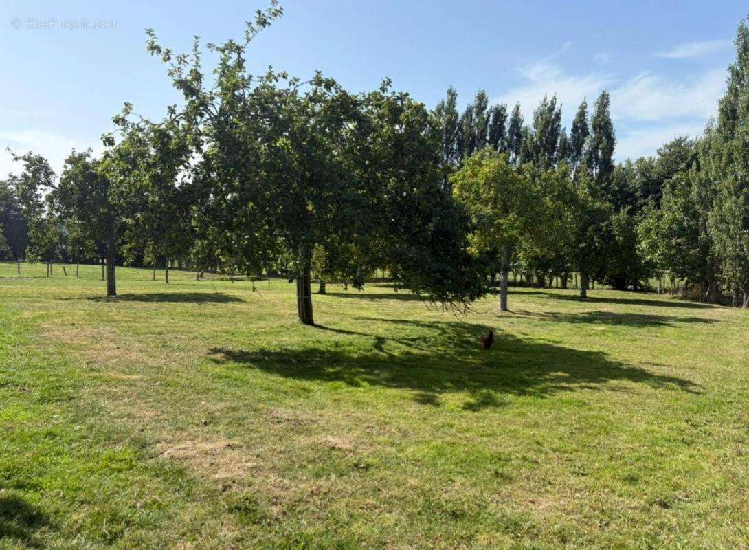 Terrain à LE BENY-BOCAGE