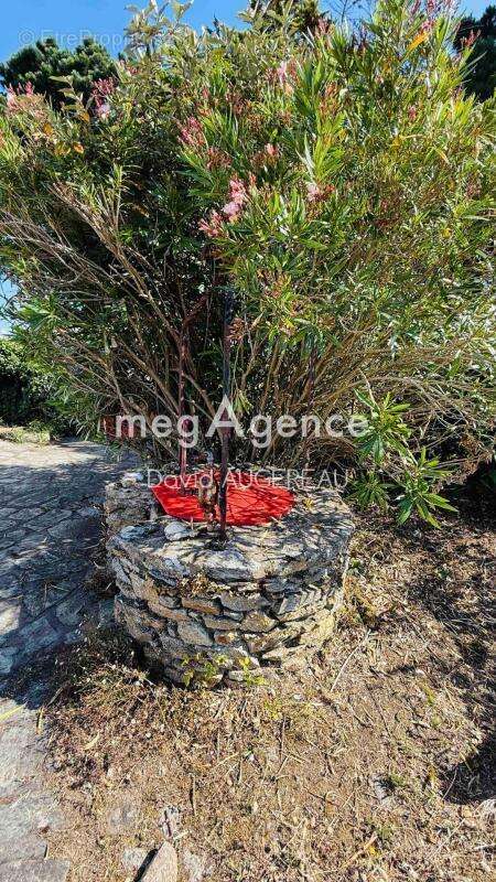 Maison à L&#039;ILE-D&#039;YEU