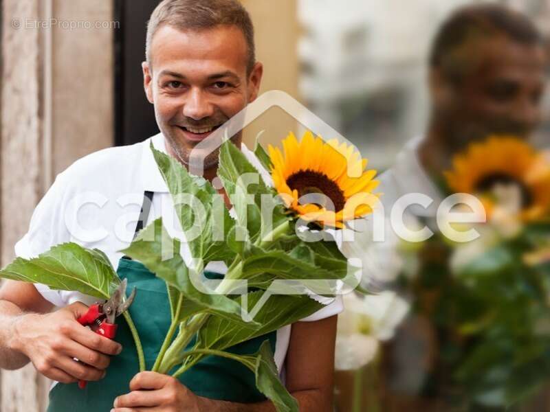 Commerce à TOULOUSE