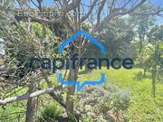 Terrain à SAINT-PIERRE