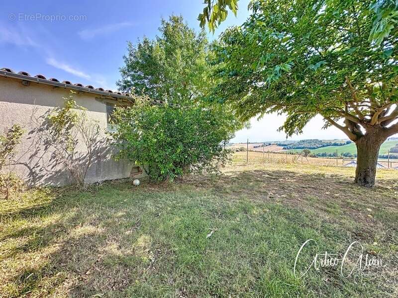 Maison à AVIGNONET-LAURAGAIS