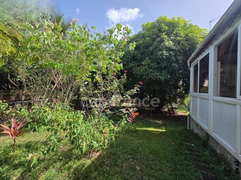 Maison à BASSE-TERRE