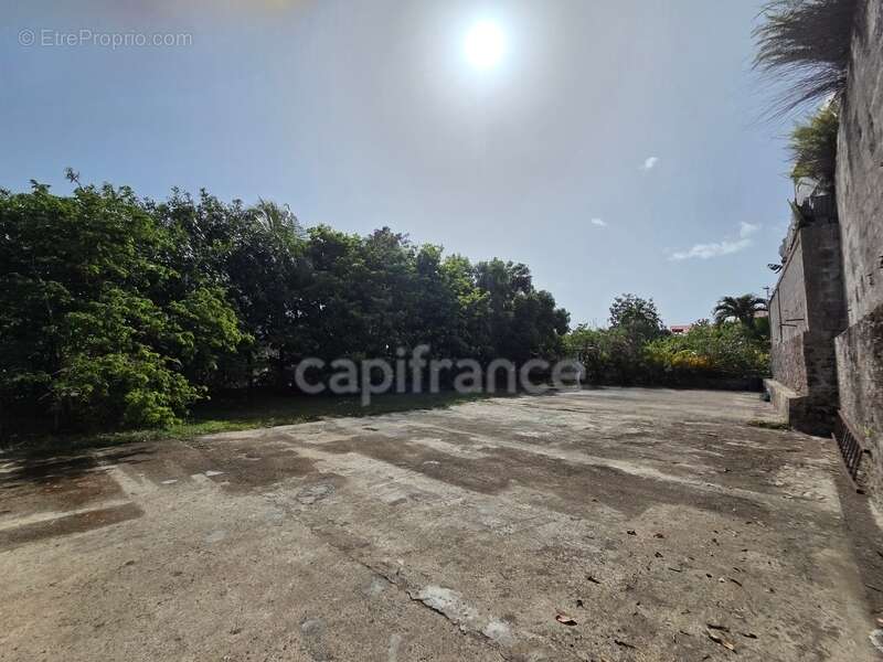 Maison à BASSE-TERRE